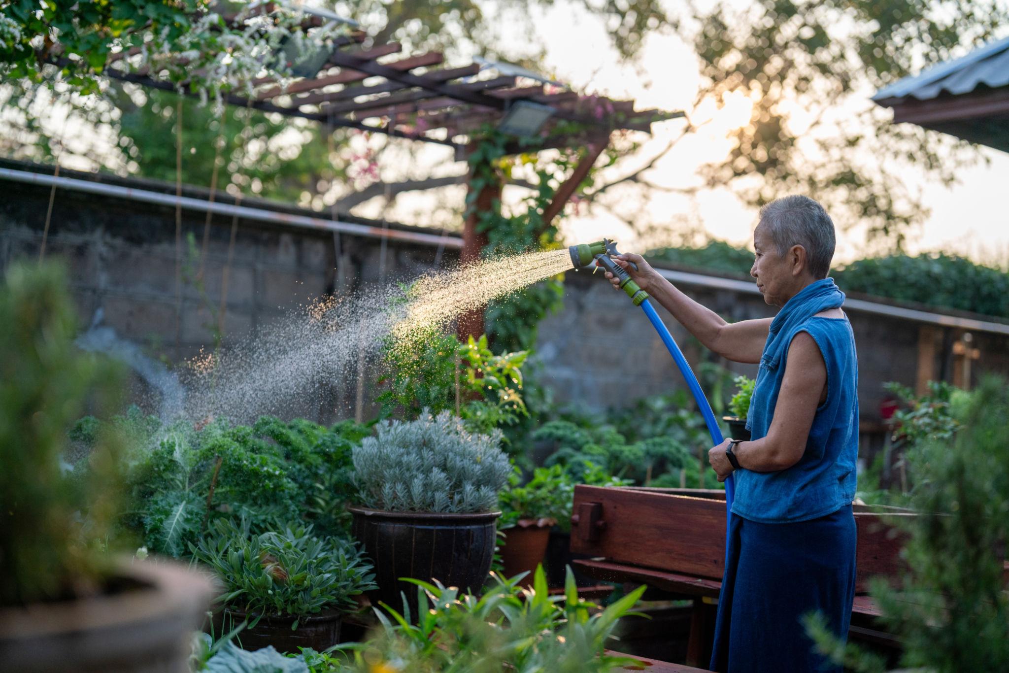 Gardening activities