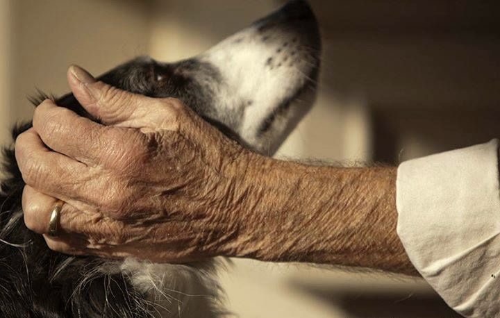 Assisted Living at Fairlands